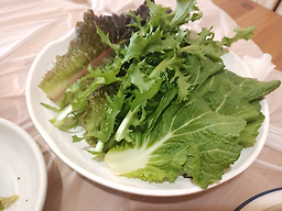 토담 5