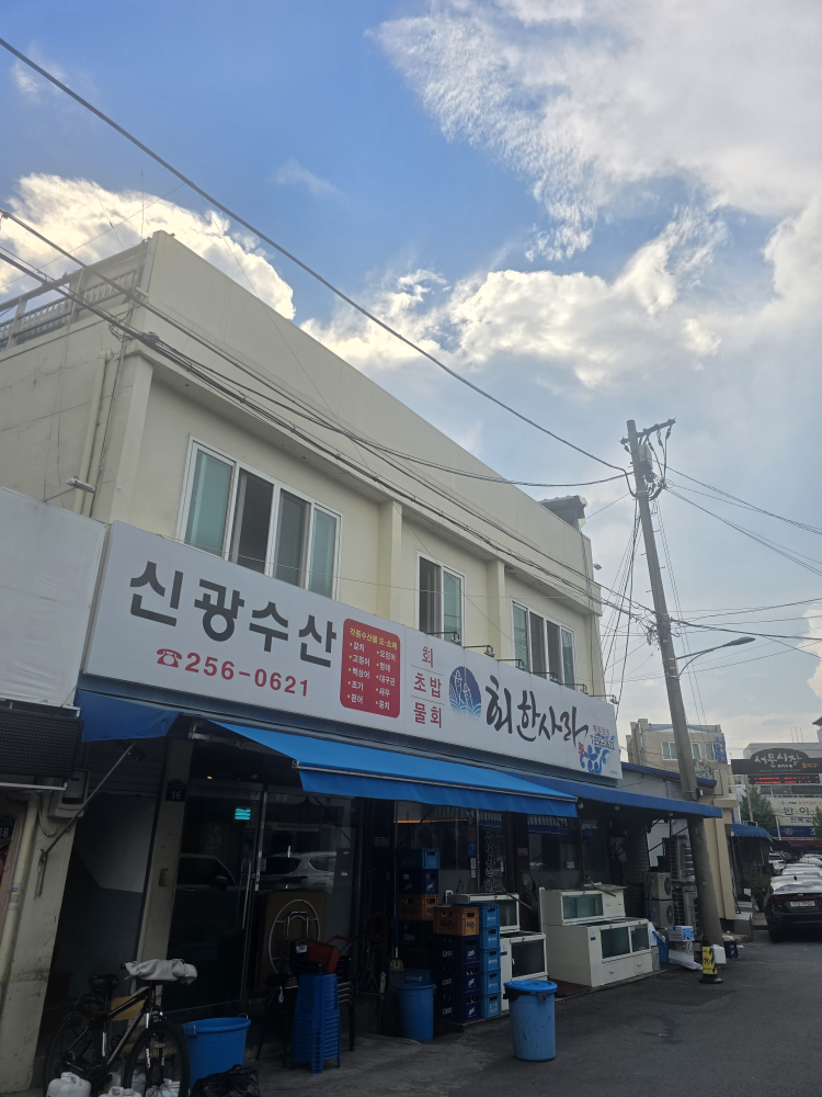회한사라 2
