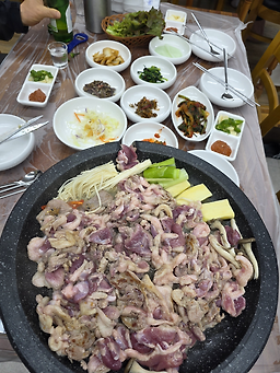 보쌈해오리 6