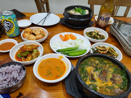 Dajeongbosinmyeongga (다정보신명가) 1
