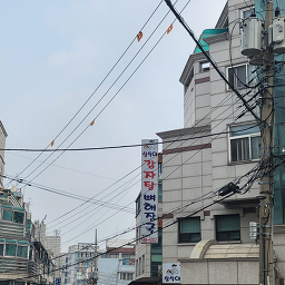Samsikigamjatang (삼식이감자탕) 3