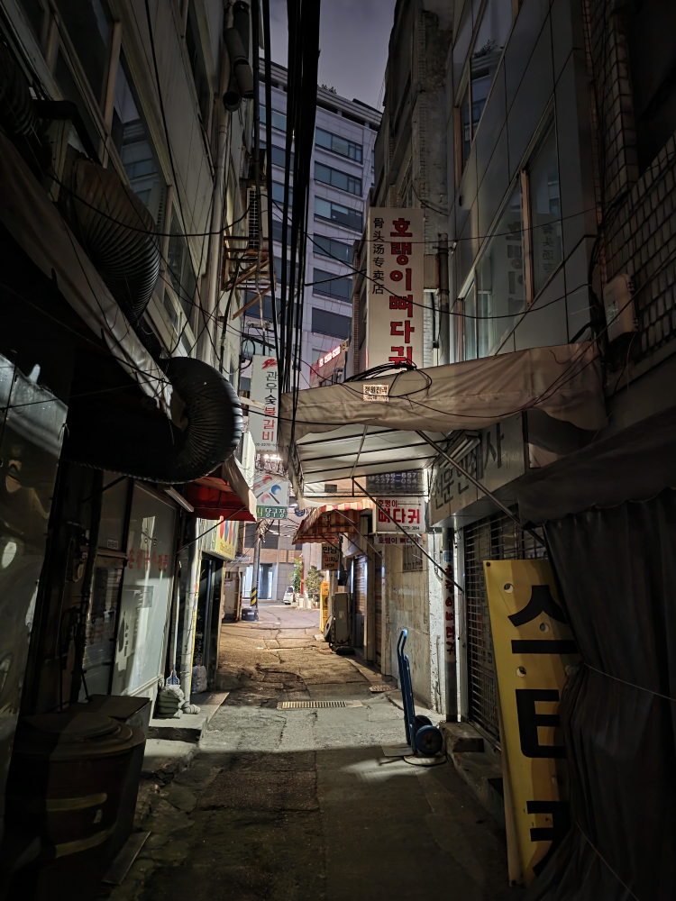 호랭이뼈다귀 사진 2