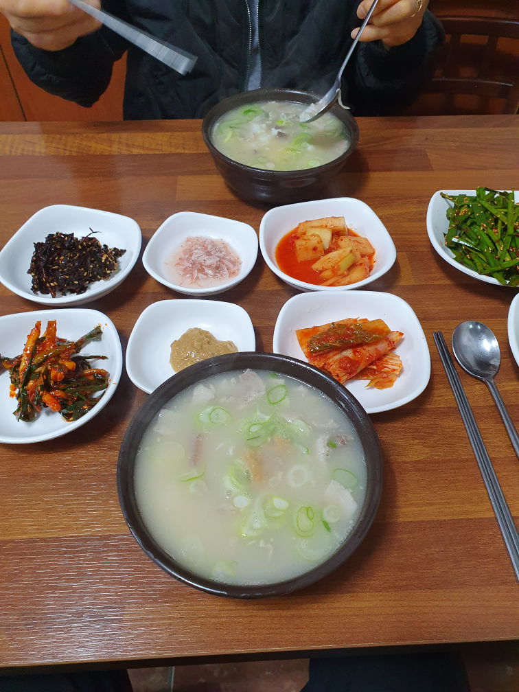 원조통영돼지국밥 4