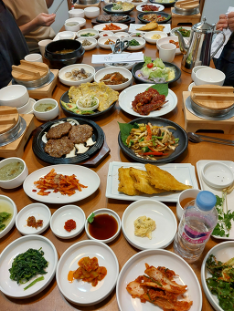 담다 6