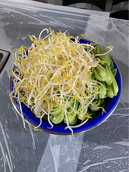 돼지마당 4