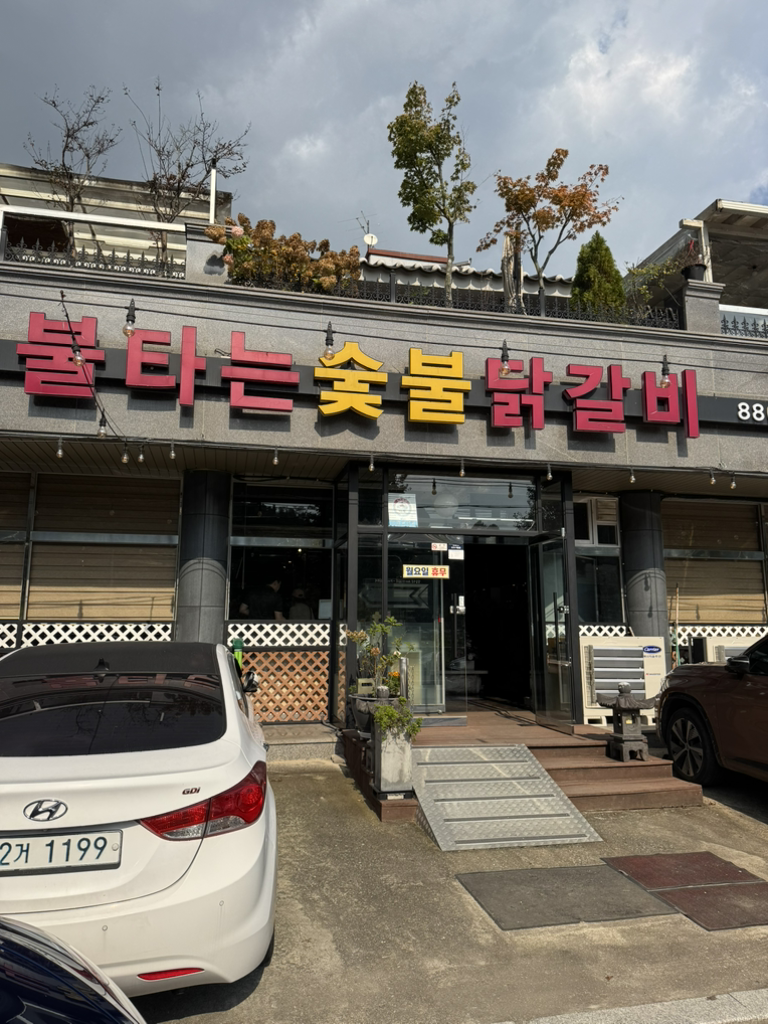 Bultaneun sutbul dakgalbi (불타는 숯불 닭갈비) 3