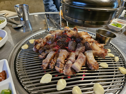 면수동흑돼지 사진 6