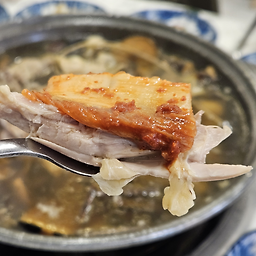 회복참옻닭 5