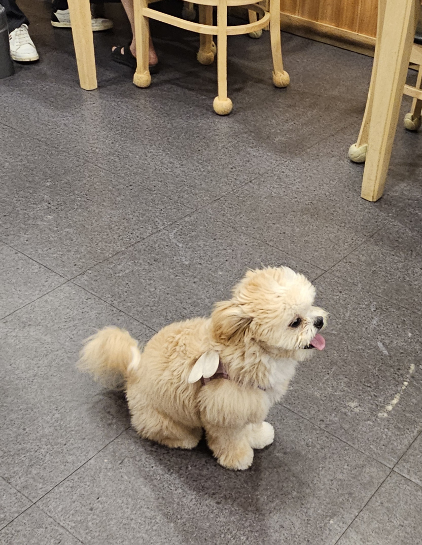또봉이통닭 성남모란점 대표 사진