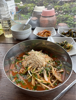 선인장 사진 3