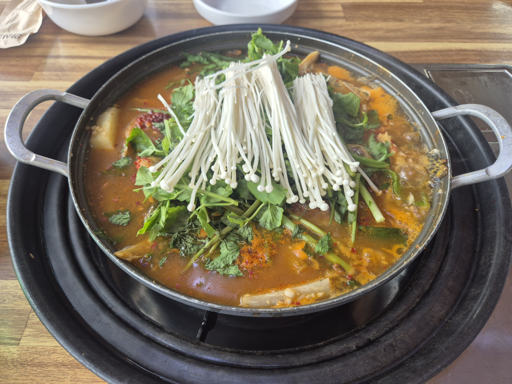 팔도강산 5