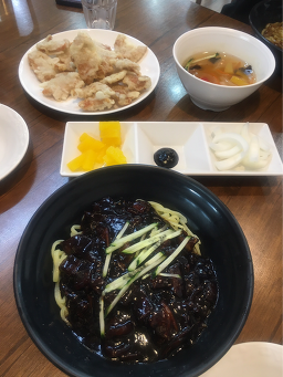 사리원 사진