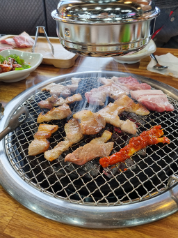 제주코 사진 5