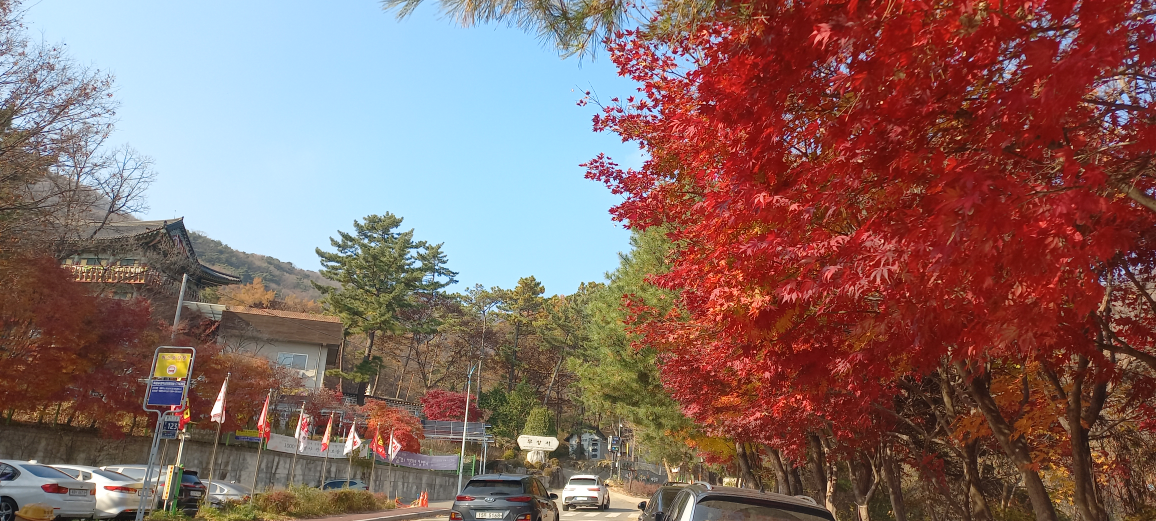 빈스코티지 2