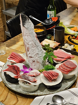 수참치 1