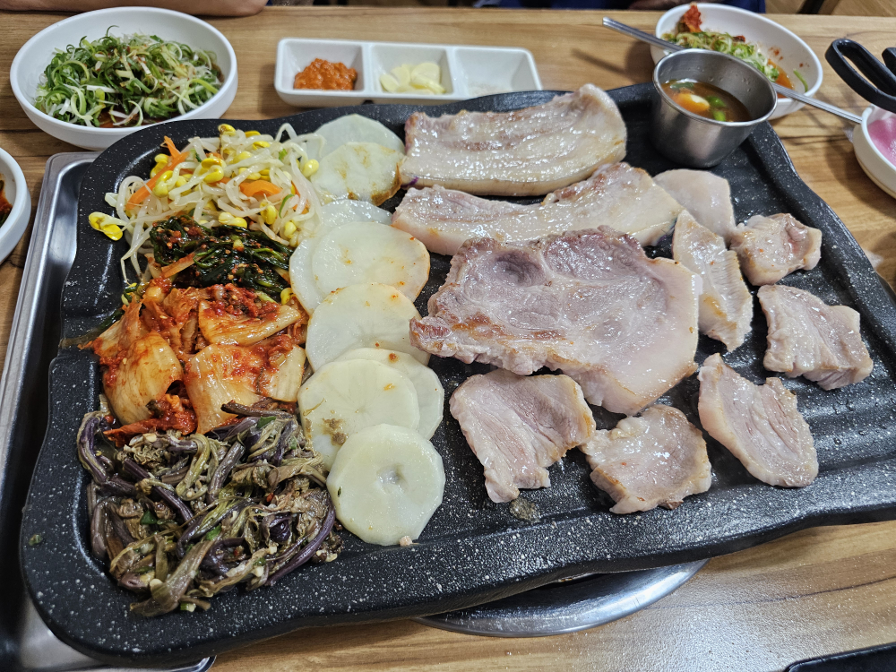 뿔난돼지 사진 6