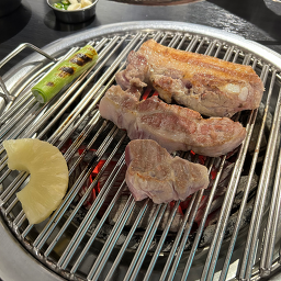 도투머리 사진 3