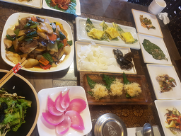 동의약선관 5