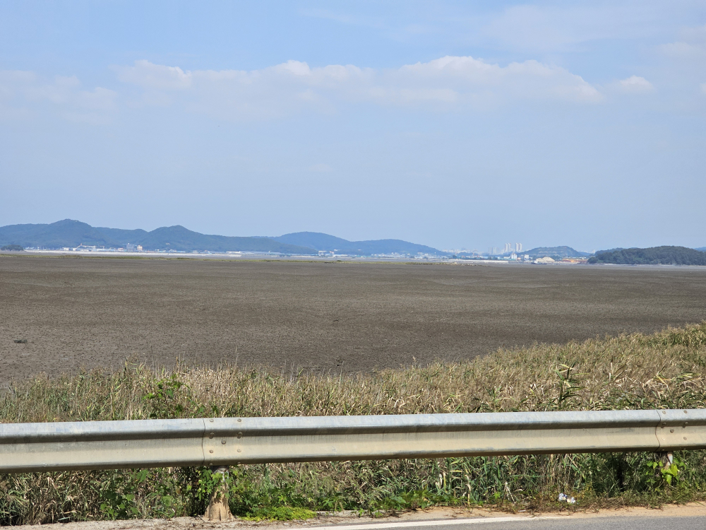 큰맘할매순대국 외 1 3