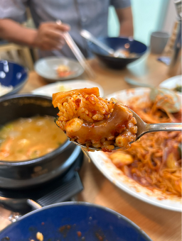 편백돈나무 사진 6