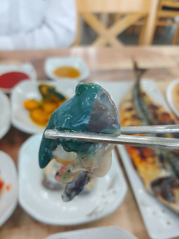 전복마시문어마시 사진 6