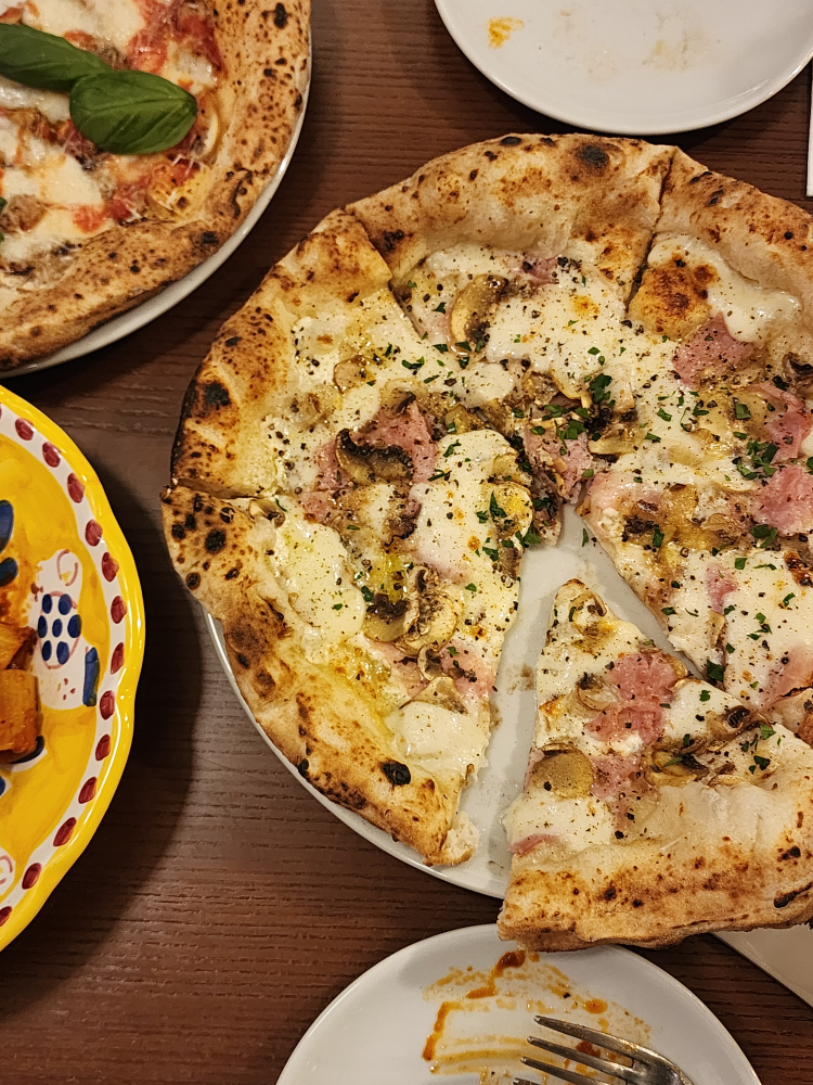 도디치 사진 5