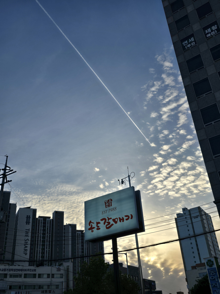 Songdogalmaegi 4