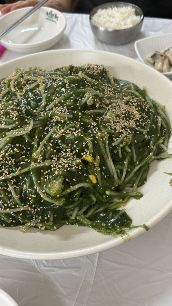 진또배기 6