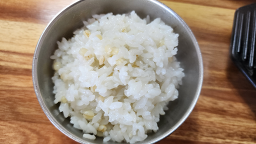 수목이네 사진 4