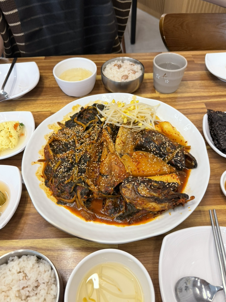 금빛코다리 1
