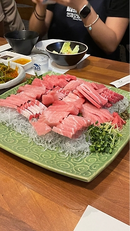 하나참치 2