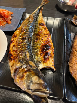 참어랑 1