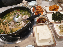 송추밤나무 4