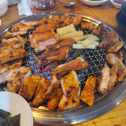 봄날의 햇살 사진 8