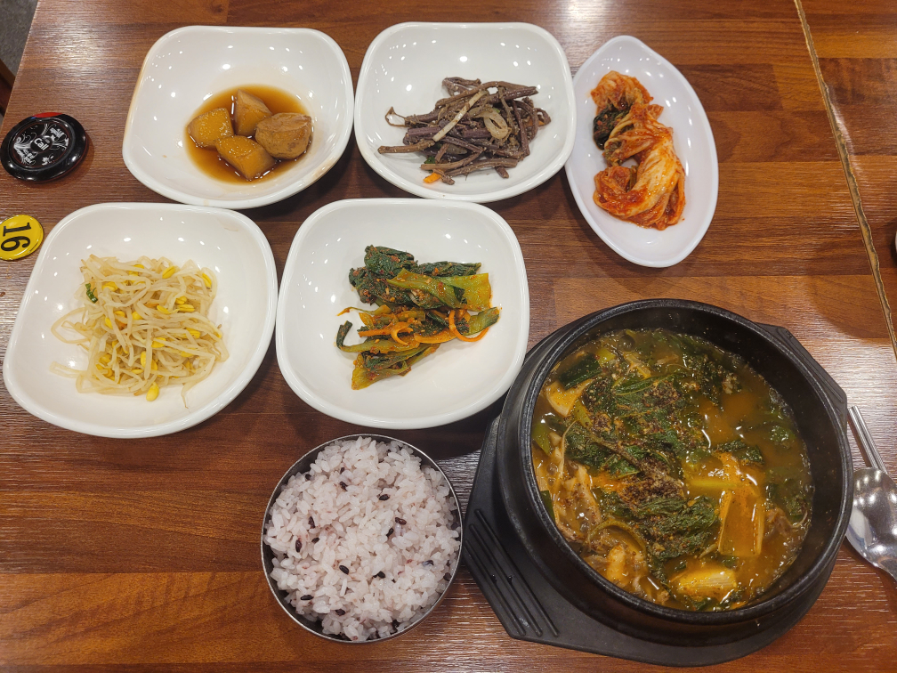 초록애 1