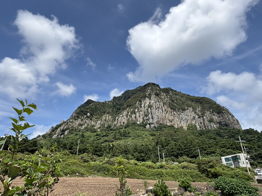 사계소희네국수 사진 6