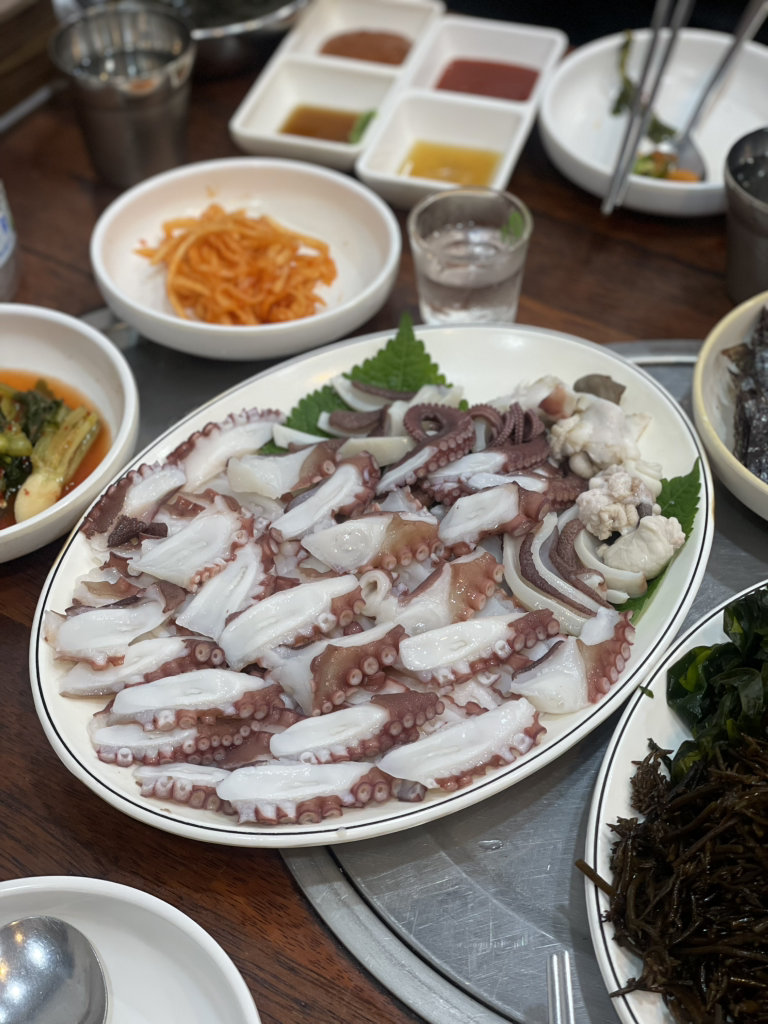 통영돌문어 2