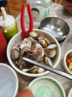 김경희벌교꼬막정식 4