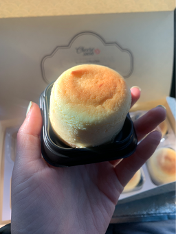 하멜 사진 6
