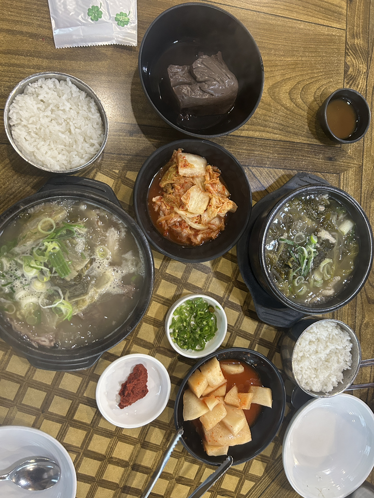Nosunitteukkeunijip (노순이뜨끈이집) 3