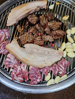 부산갈매기 1