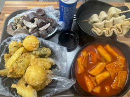 Kkongminamtteokboki 4