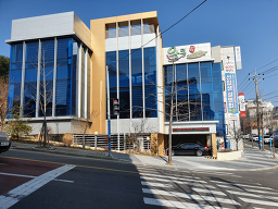 왕콩수제두부 6