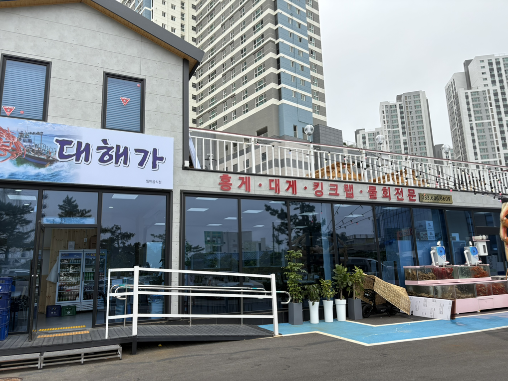 대해가 11