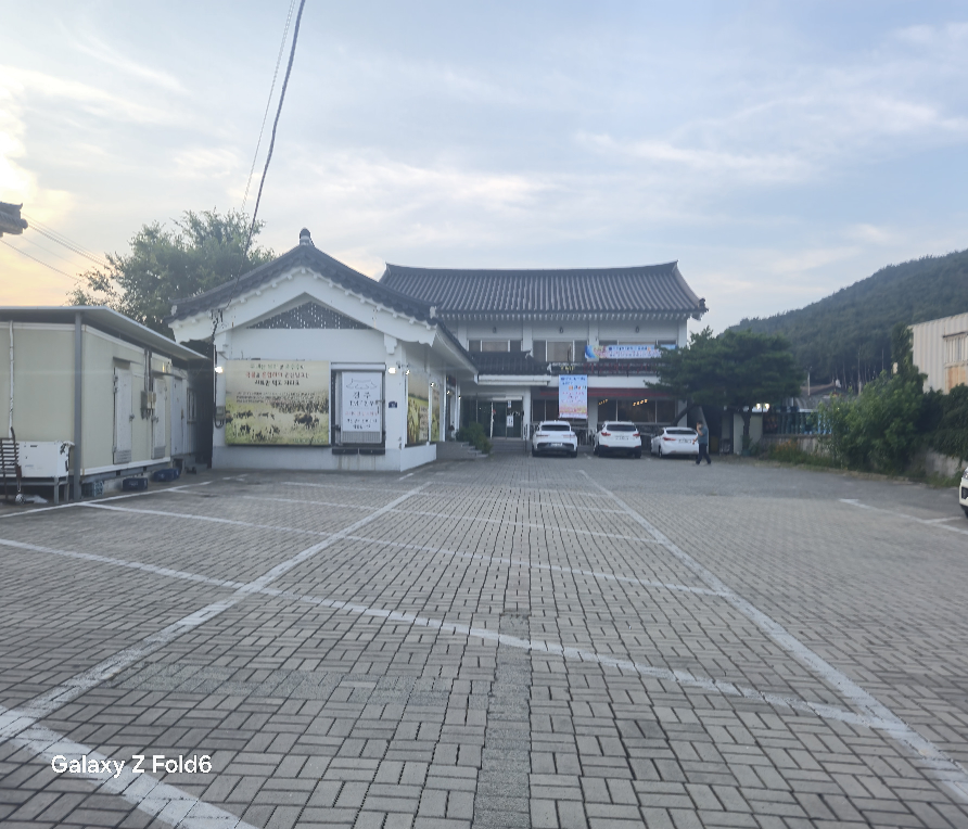 경주TMF한우 1