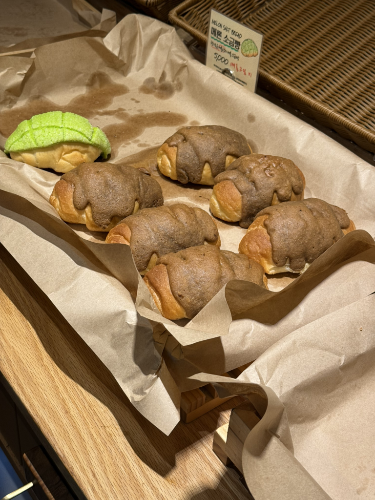 아벡쉐리 사진 3