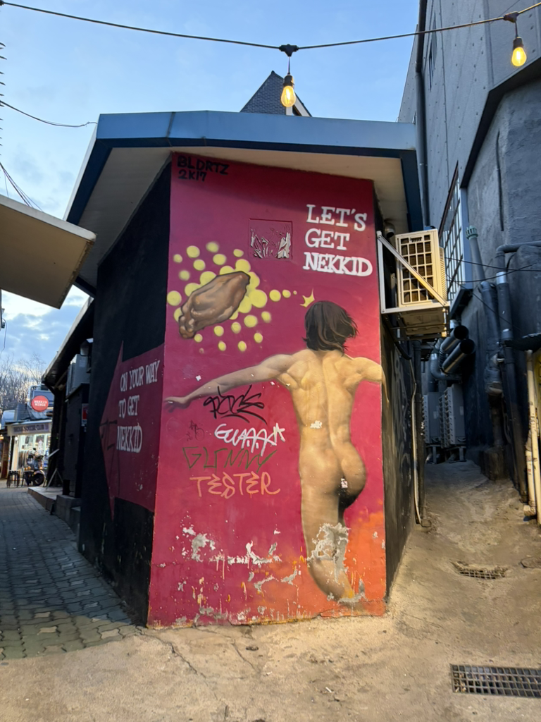 네키드윙즈 사진 7