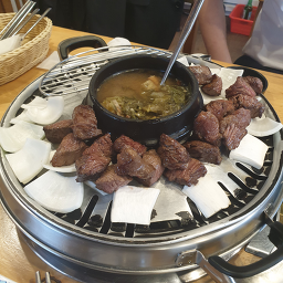 쇠고집 사진 8