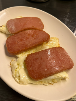 발바리네 사진 5