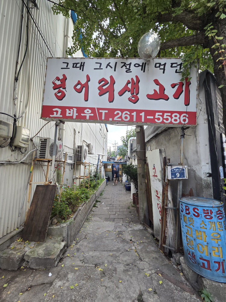 고바우 6